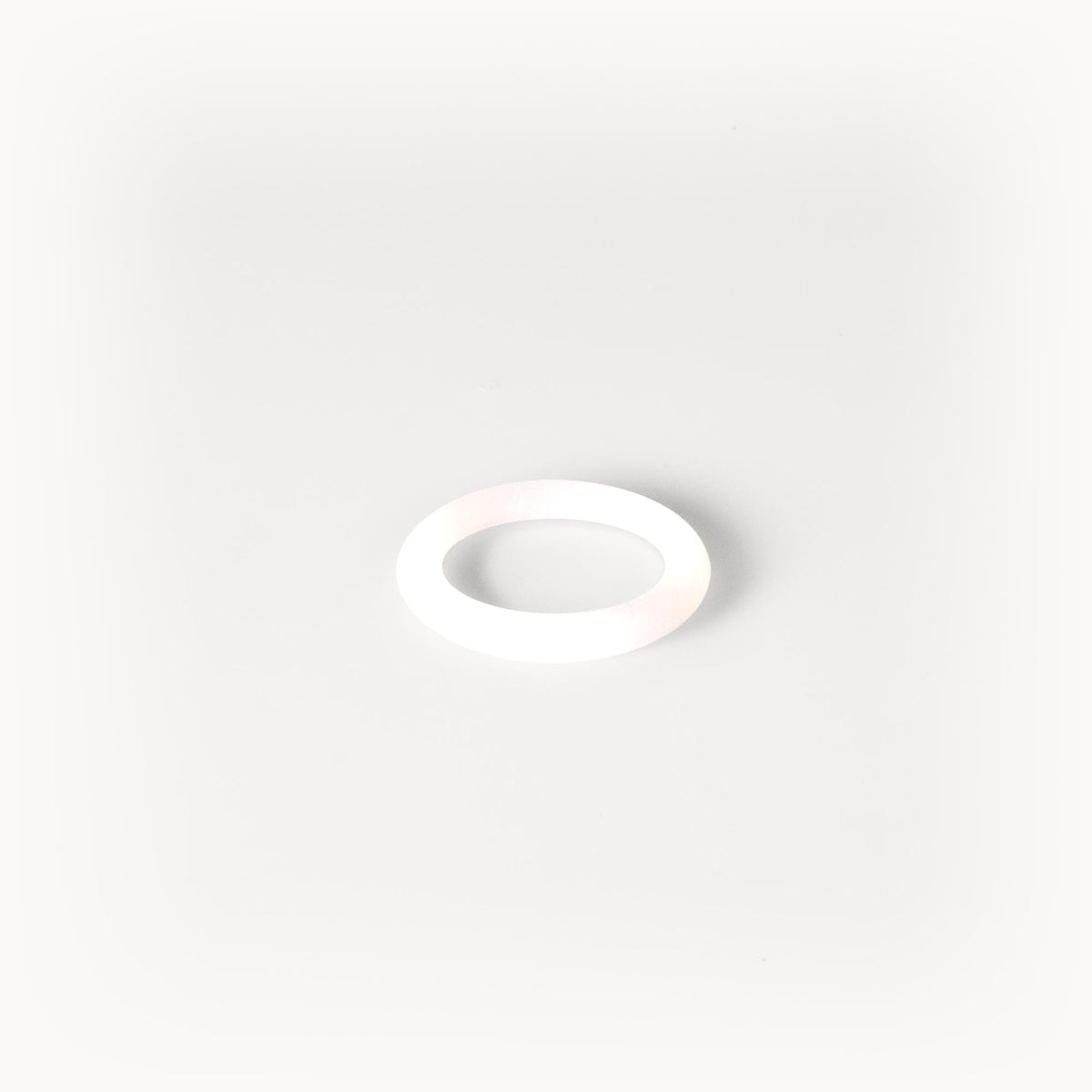O-ring